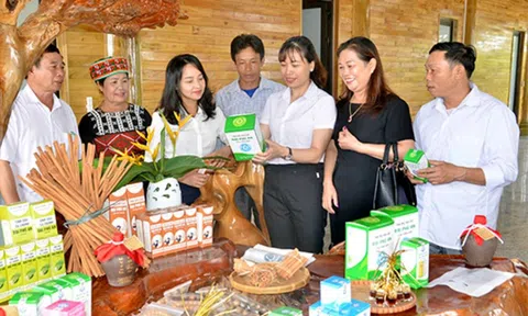 Nhiều sản phẩm OCOP của Yên Bái đã được xuất khẩu sang Anh quốc