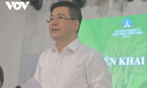 Quyết liệt triển khai công tác điều hành xuất khẩu gạo