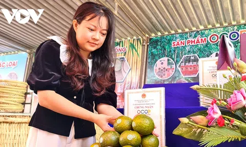 Gắn phát triển sản phẩm OCOP với các hợp tác xã nông nghiệp