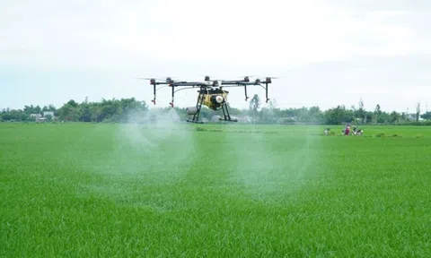 Khoa học công nghệ đóng góp tích cực vào tăng trưởng nông nghiệp