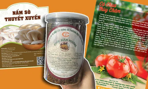 Bắc Giang: Huyện Việt Yên có thêm 5 sản phẩm được công nhận đạt OCOP hạng 3 sao