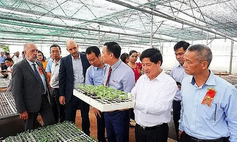 Tây Nguyên: Mời gọi nhà đầu tư chiến lược vào lĩnh vực nông nghiệp