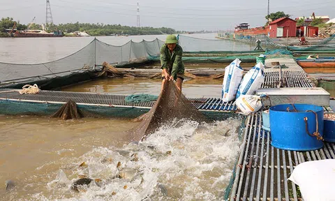 Kiểm soát, giám sát chất lượng môi trường trong nuôi trồng thủy sản