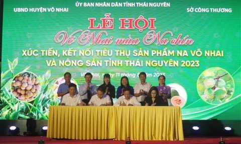 Lễ hội "Võ Nhai mùa na chín": Kết nối tiêu thụ nông sản Thái Nguyên