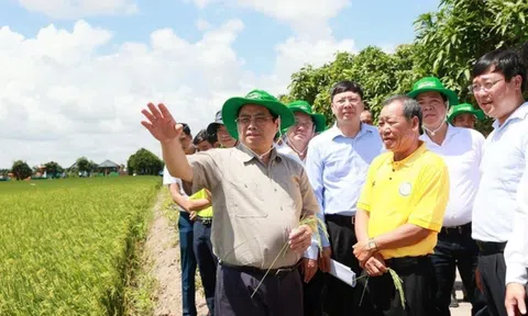 Thủ tướng: Phải có tư duy đổi mới về nông nghiệp