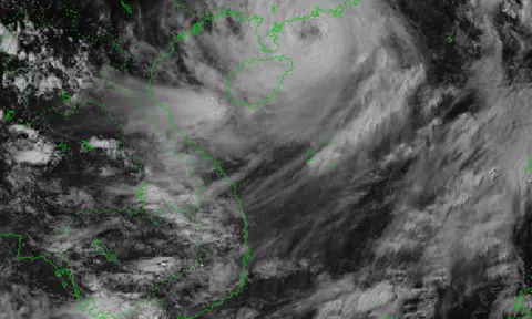 Biển Đông được dự báo có thể đón 5 đến 7 cơn bão trong 3 tháng tới