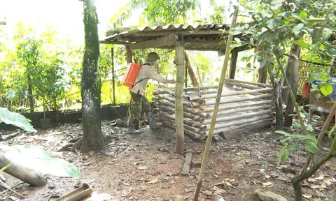 Dịch tả lợn châu Phi diễn biến phức tạp tại tỉnh Bắc Kạn