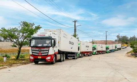 Logistics tăng sức cạnh tranh cho nông sản xuất khẩu