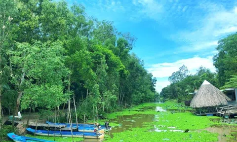 Phát triển bền vững giá trị hệ sinh thái rừng