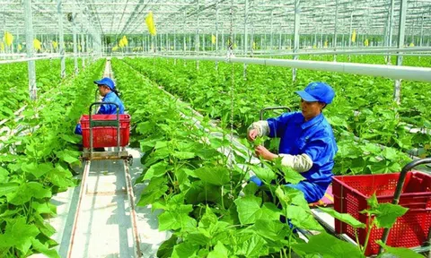 Quy định về Bộ chỉ tiêu thống kê tăng trưởng xanh