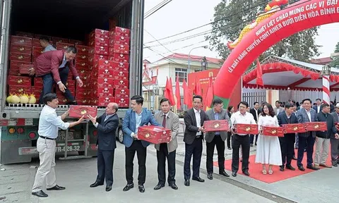 Bưởi Diễn lần đầu xuất khẩu sang Hoa Kỳ