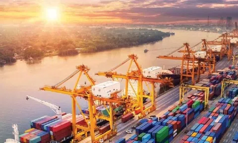 Xuất nhập khẩu Việt Nam – Hoa Kỳ vượt mốc 100 tỷ USD