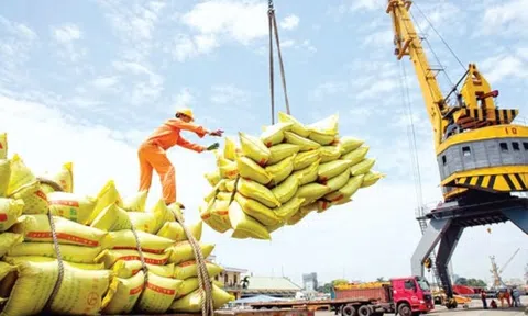 Giá lúa gạo tăng cao, doanh nghiệp gặp khó