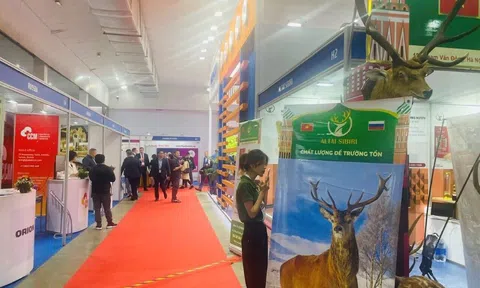 Triển lãm Công nghiệp quốc tế lần thứ 5 "EXPO - Nga Việt Nam 2023" và diễn đàn doanh nghiệp Hà Nội