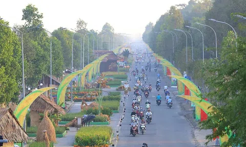 Độc đáo con đường lúa gạo Việt Nam