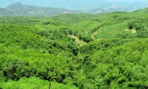 Áp dụng Bộ chỉ tiêu thống kê tăng trưởng xanh trên phạm vi cả nước