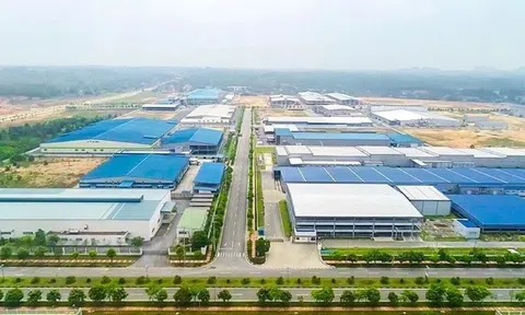 Hà Nam: Chấp thuận đầu tư dự án đầu tư xây dựng và kinh doanh kết cấu hạ tầng khu công nghiệp Kim Bảng I