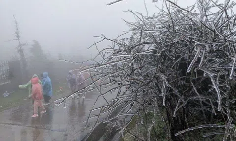 Không khí lạnh tăng cường, miền Bắc chìm trong giá rét