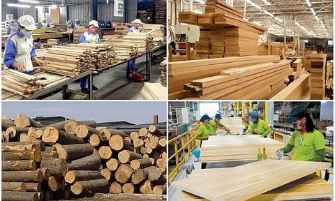 Xuất khẩu gỗ và lâm sản đặt mục tiêu đạt 17,5 tỷ USD trong năm 2024