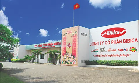 Hàng loạt doanh nghiệp bị Ủy ban Chứng khoán Nhà nước xử phạt