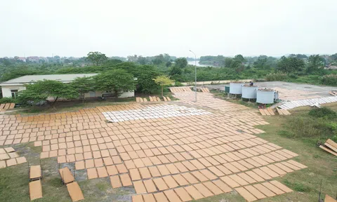Nhiều "dấu hỏi" tại dự án 10 năm chưa xong do Sở TN&MT Bắc Giang làm chủ đầu tư ở huyện Việt Yên