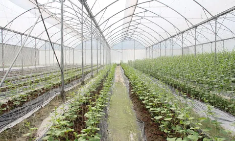 Bắc Giang: Nhiều xã được bổ sung vào danh sách phấn đấu đạt chuẩn nông thôn mới