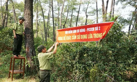 Bắc Giang chủ động ứng phó với nguy cơ cháy rừng mùa khô