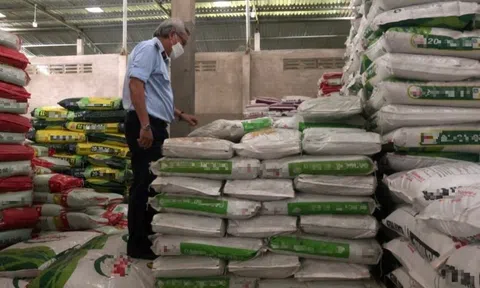 Tiền Giang: Xử phạt cơ sở bán phân bón giả 50 triệu đồng