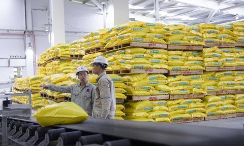 Doanh nghiệp ngành phân bón đối diện nhiều khó khăn