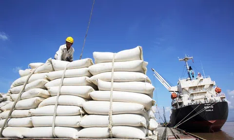 Gạo Việt Nam có cơ hội mở rộng sang thị trường Anh nhờ Hiệp định UKVFTA