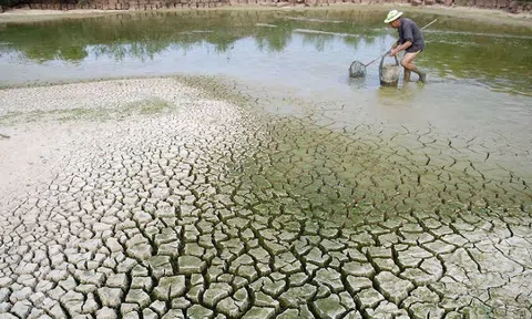 World Bank Việt Nam: "Biến đổi khí hậu có thể khiến 1 triệu người Việt nghèo vào năm 2030"