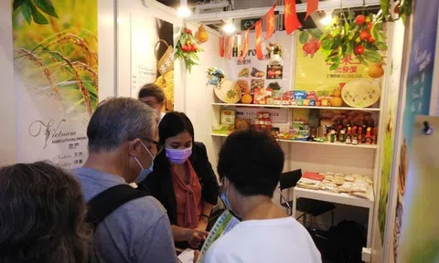 Tư vấn thúc đẩy xuất khẩu sang thị trường Hồng Kông
