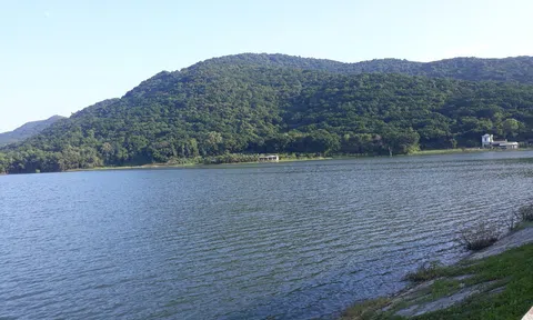 Vẻ đẹp kỳ vĩ rừng sến Tam Quy nơi đại ngàn "xứ Thanh"