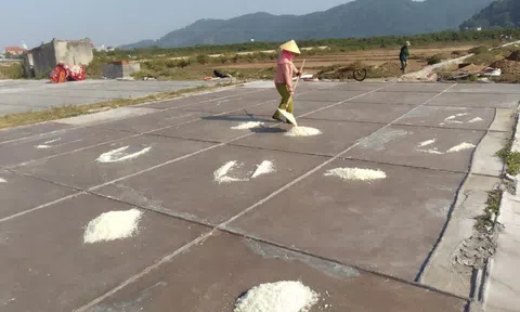 Chuyên đề “Vai trò của ngành Thủy sản trong phát triển kinh tế của tỉnh Thanh Hóa”: Bài 1: Về đâu những phận đời diêm dân?