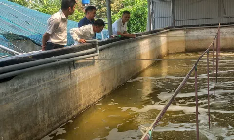 “Vai trò của ngành Thủy sản trong phát triển kinh tế của tỉnh Thanh Hóa” bài 2: Huyện Nông Cống tìm hướng để ngành Thủy sản sớm “nở hoa” trên vùng nước lợ