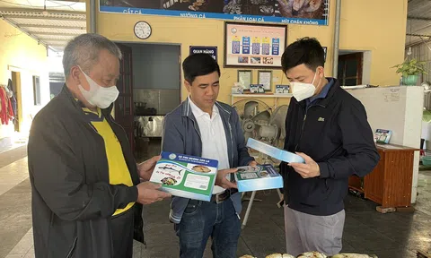 Nghệ An: Làng nghề biển Cửa Lò tất bật vào vụ Tết