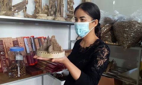 Hà Tĩnh: Làng nghề trầm hương hối hả vào vụ tết