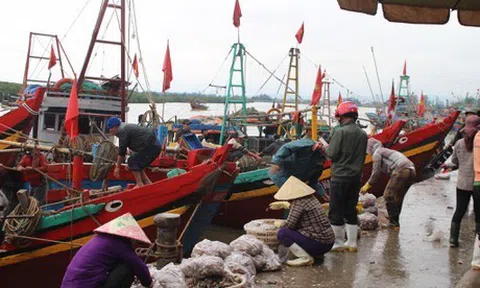 Ngư dân Nghệ An thu về 200 tỷ đồng trong những chuyến ra khơi đầu năm mới