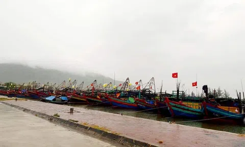 Nghệ An: Xăng dầu tăng giá, ngư dân không dám ra khơi vì sợ lỗ