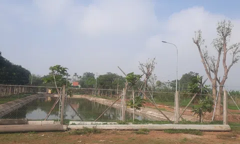 Xây nhà trên đất nông nghiệp sẽ bị phạt như thế nào?