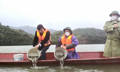 Nghệ An: Thả 300.000 con cá giống xuống lưu vực sông Lam