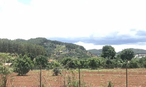 Quy định về đền bù và cưỡng chế đối với đất thuộc diện thu hồi