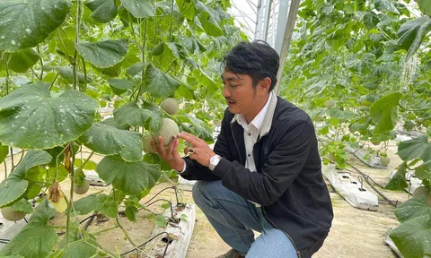 Nghệ An: Hợp tác xã Nông nghiệp Công nghệ cao Nông Thịnh chinh phục thị trường bằng những sản phẩm nông nghiệp sạch