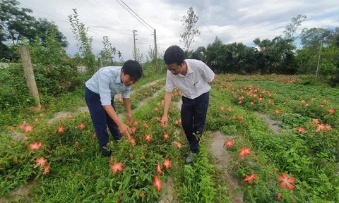 Hội Làm vườn Nghệ An đồng hành cùng nông dân phát triển kinh tế