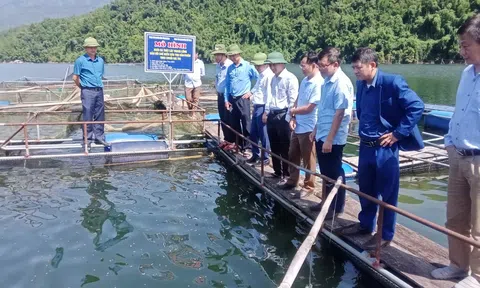 Nghệ An: Từng bước tháo gỡ vướng mắc, hỗ trợ phát triển nông nghiệp