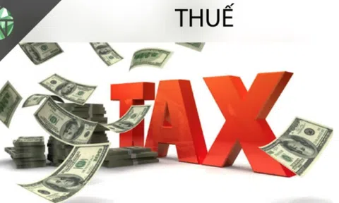 Nghệ An: Kiến nghị thu hồi giấy phép kinh doanh doanh nghiệp nợ thuế kéo dài