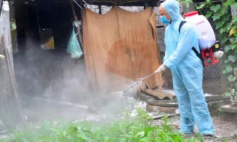Dịch tả lợn châu Phi tái phát, diễn biến phước tạp tại Diễn Châu