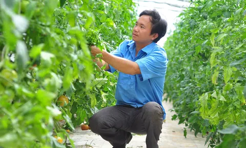 Lâm Đồng hỗ trợ thực hành sản xuất nông nghiệp tốt