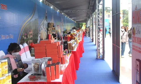 Trong quý I/2024, Lâm Đồng có 277 doanh nghiệp thành lập mới