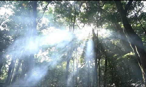 Chinh phục cao nguyên Di Linh huyền bí Bài 3: Ngủ đêm trên đỉnh núi thiêng, nghe truyền thuyết về người K’Ho